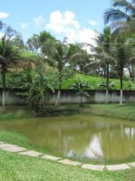 UNIDADE FEMININA (51)
