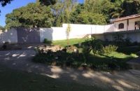 UNIDADE MASCULINA (38)