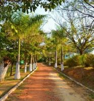 UNIDADE MASCULINA  (58)
