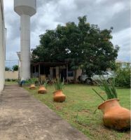 UNIDADE FEMININA (2)