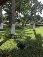 UNIDADE MASCULINA (106)