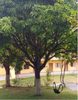 UNIDADE MASCULINA - MEAIPE (111)