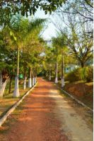 UNIDADE MASCULINA  (4)