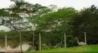 UNIDADE MASCULINA (33)