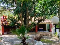 Unidade Feminina (163)