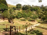 Unidade Masculina (225)
