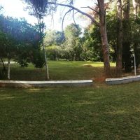 Unidade Masculina 245