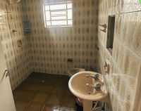 Unidade Masculina 260 